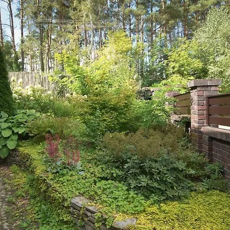 By Latowisko - Puszcza Zielonka