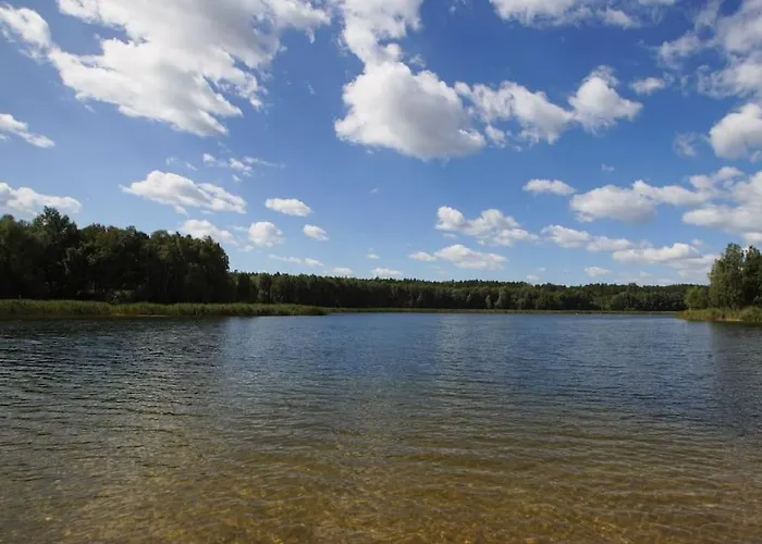 By Latowisko - Puszcza Zielonka Kaminsko