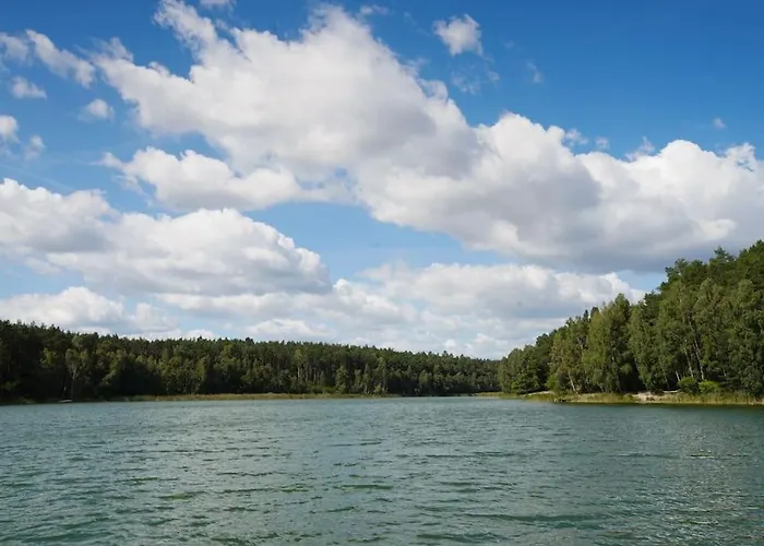 By Latowisko - Puszcza Zielonka * Kaminsko