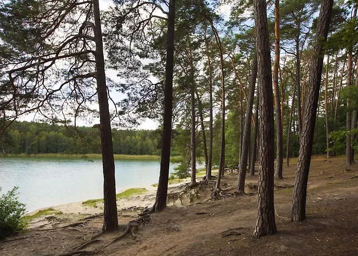 By Latowisko - Puszcza Zielonka Villa