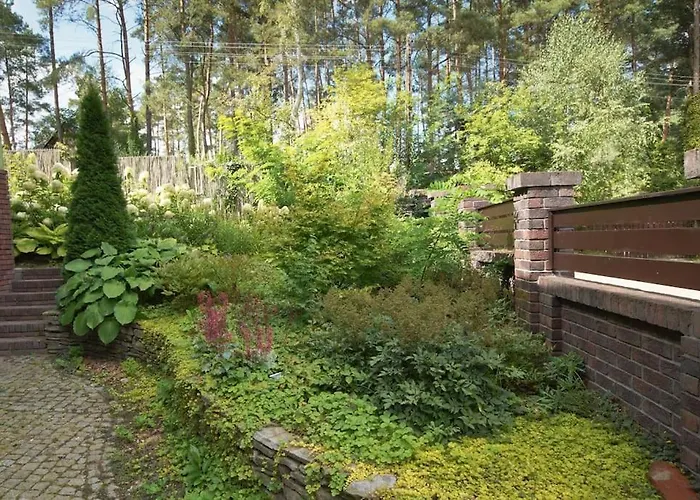 By Latowisko - Puszcza Zielonka