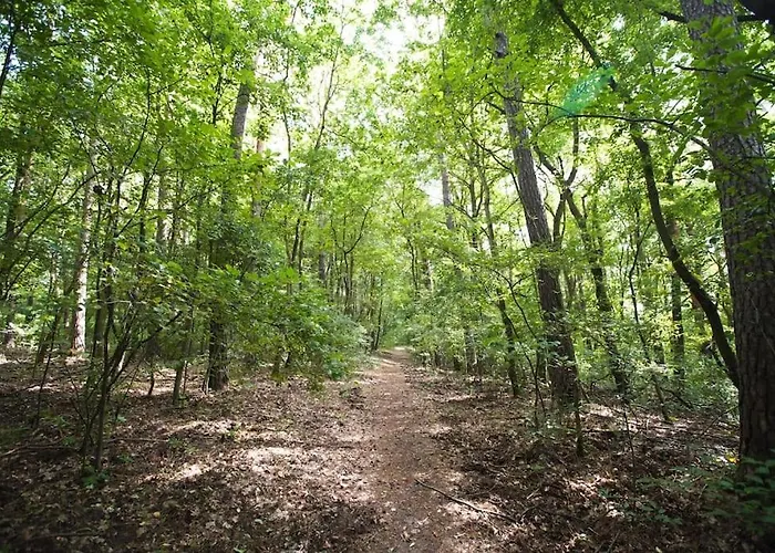 By Latowisko - Puszcza Zielonka Villa