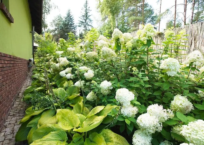 By Latowisko - Puszcza Zielonka * Kaminsko